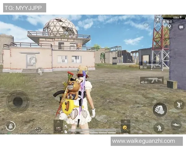 和平精英战术解析:BLG战队的灵活转换体系与实战应用